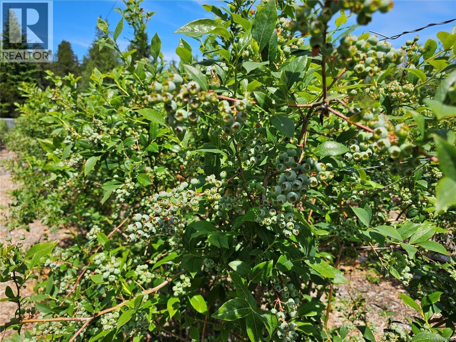 2156 Coleman Rd, Courtenay, British Columbia  V9J 1P2 - Photo 4 - 1023759