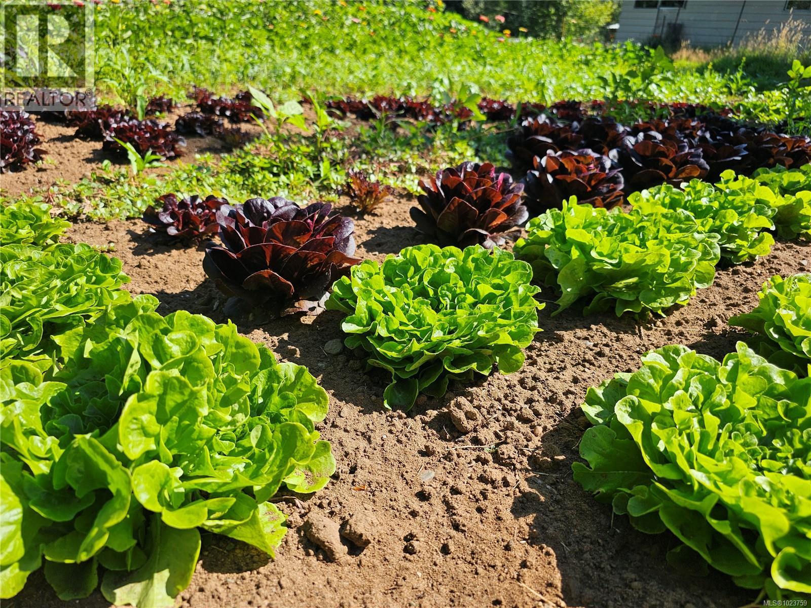 2156 Coleman Rd, Courtenay, British Columbia  V9J 1P2 - Photo 46 - 1023759