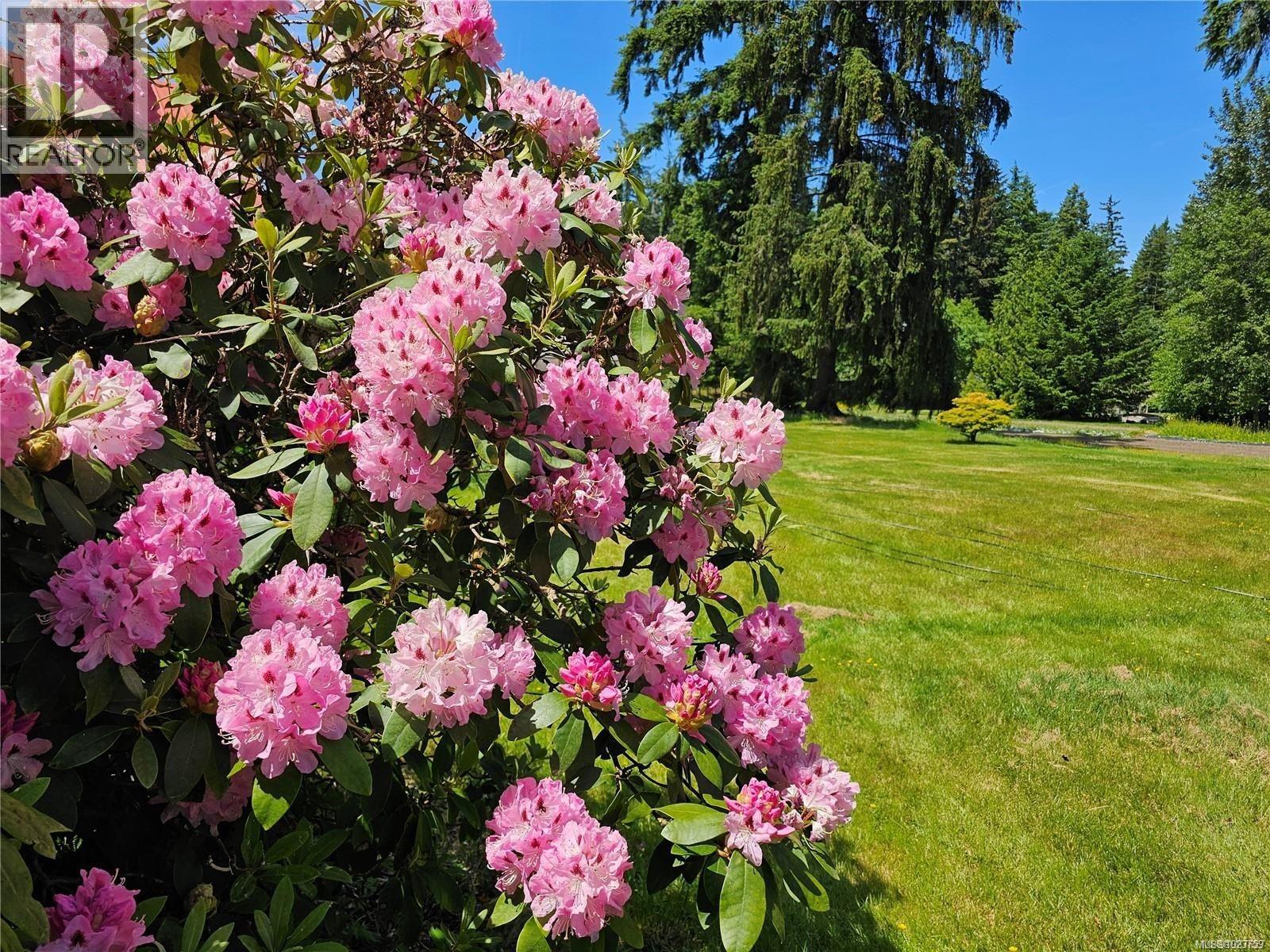 2156 Coleman Rd, Courtenay, British Columbia  V9J 1P2 - Photo 5 - 1023759