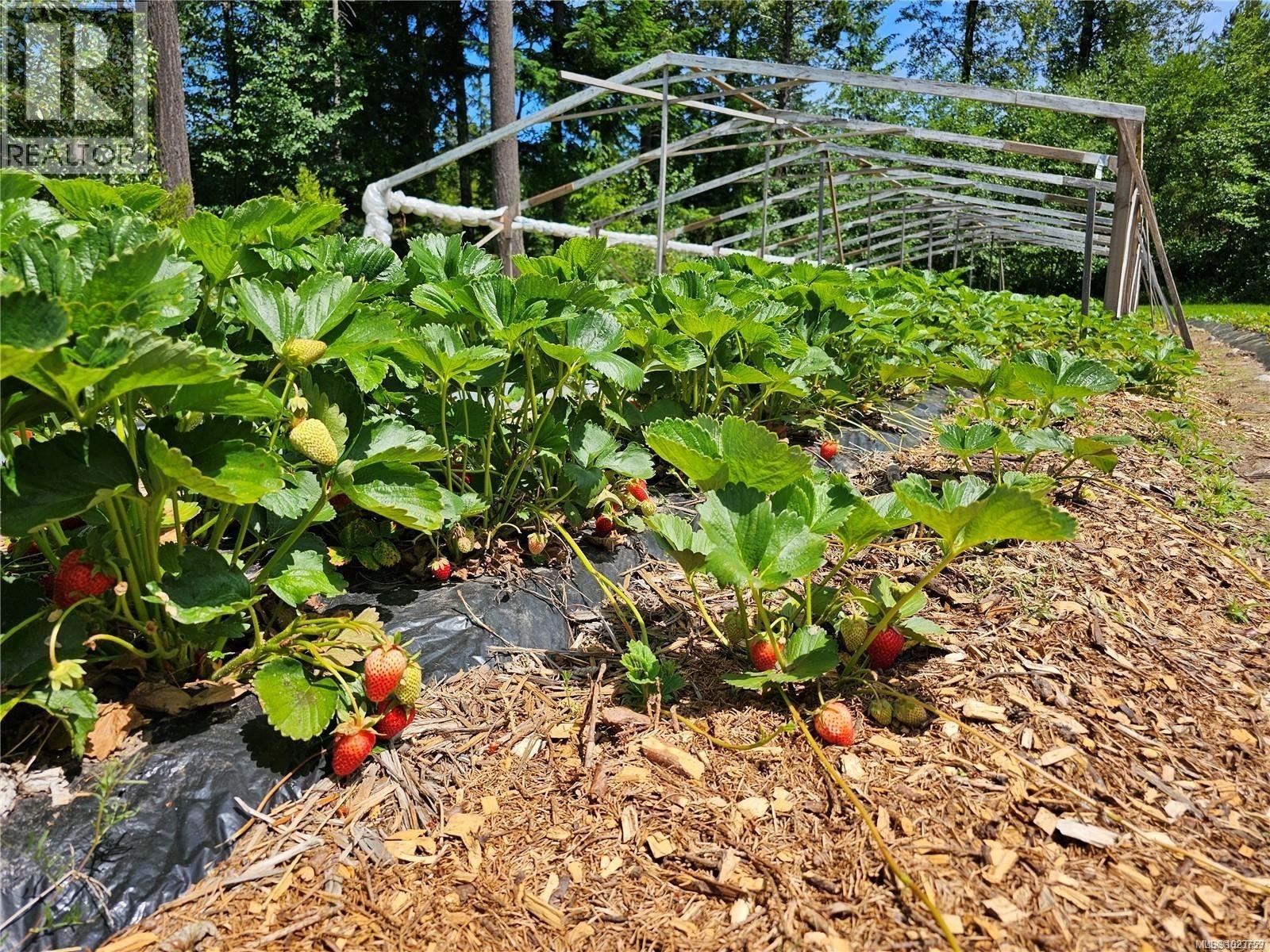 2156 Coleman Rd, Courtenay, British Columbia  V9J 1P2 - Photo 6 - 1023759