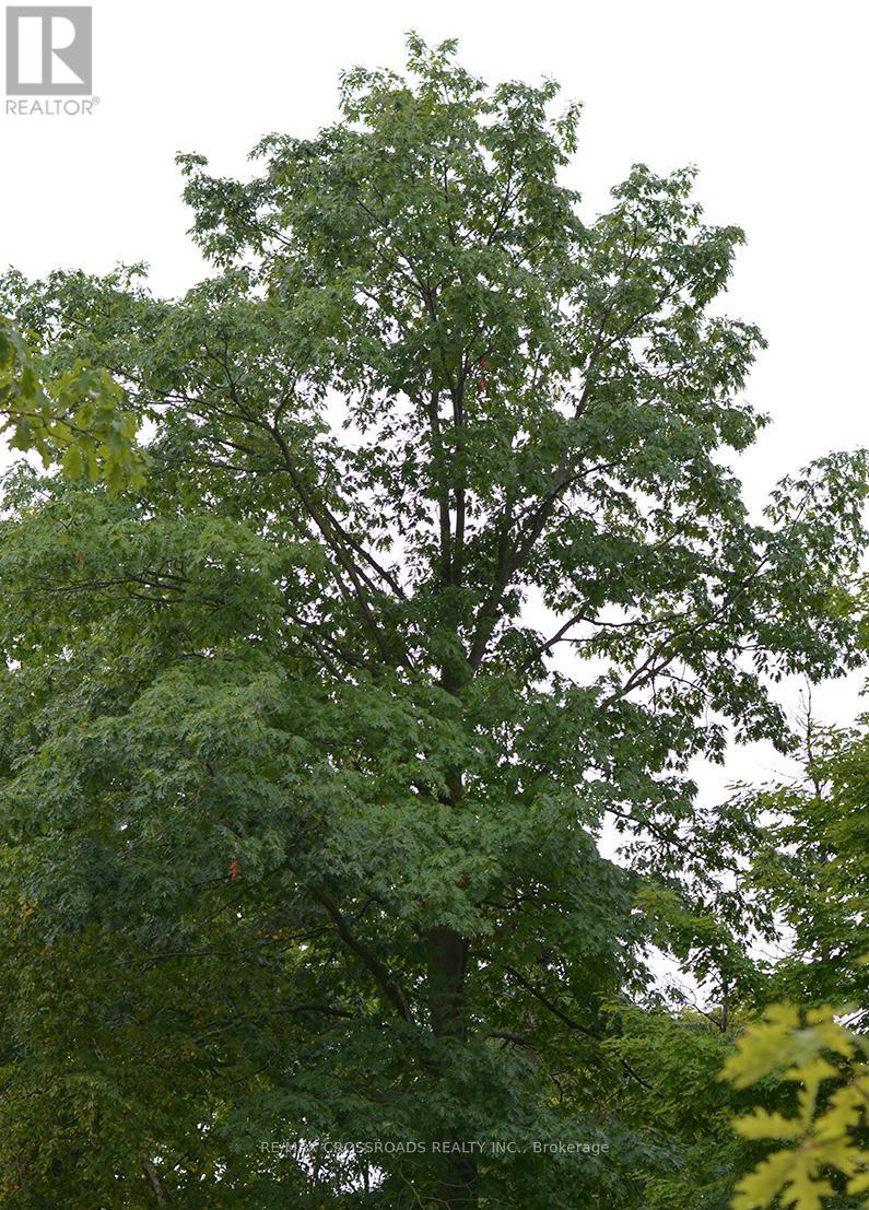 1300 Fuller Avenue, Penetanguishene, Ontario  L9M 1E3 - Photo 2 - S12394579