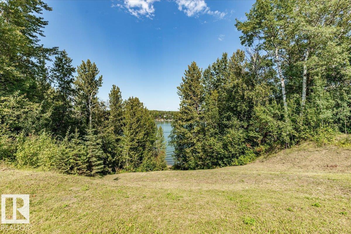 #214 271022 Twp Road 480, Rural Wetaskiwin County, Alberta  T0C 0V0 - Photo 33 - E4470647