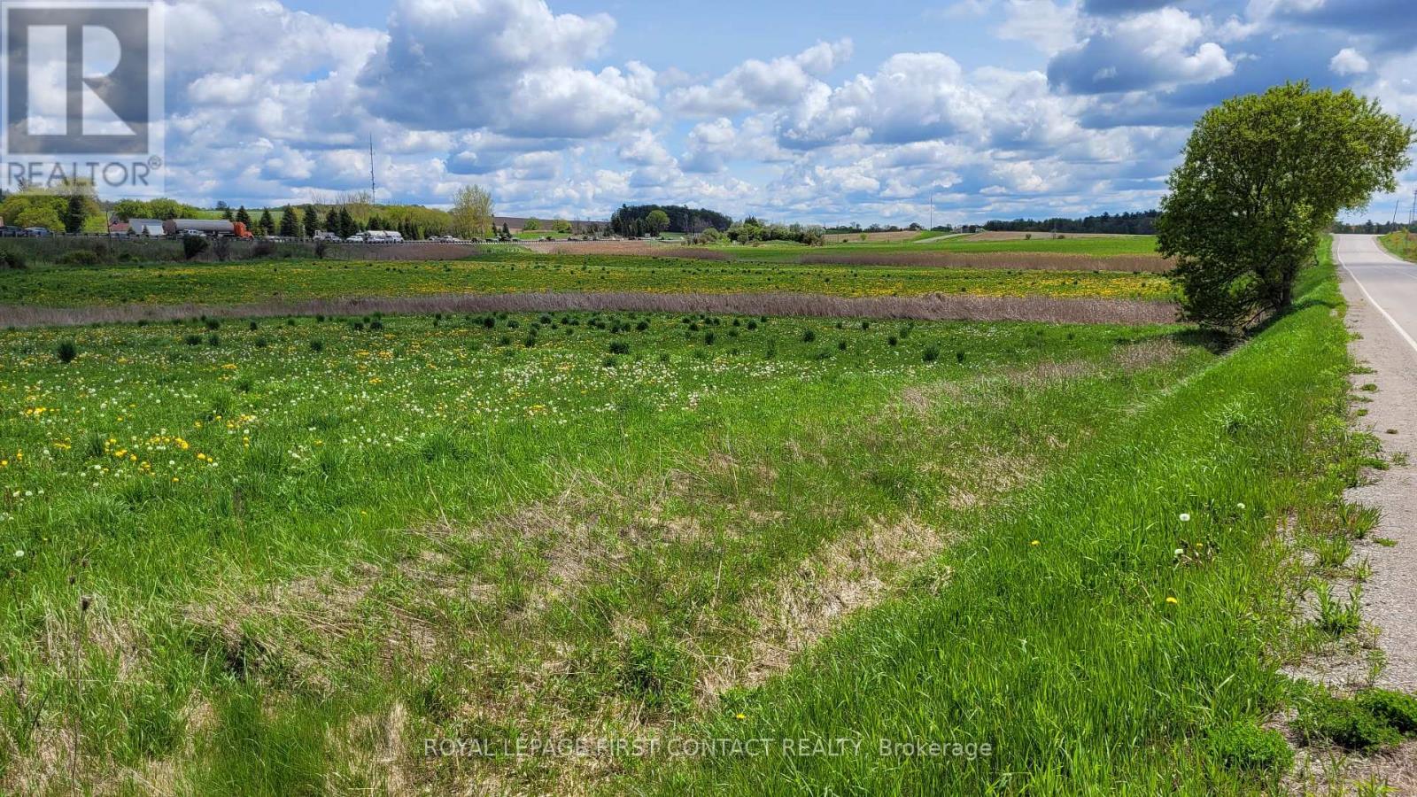 3568 4 Line, Bradford West Gwillimbury, Ontario  L3Z 2L7 - Photo 5 - N12641382