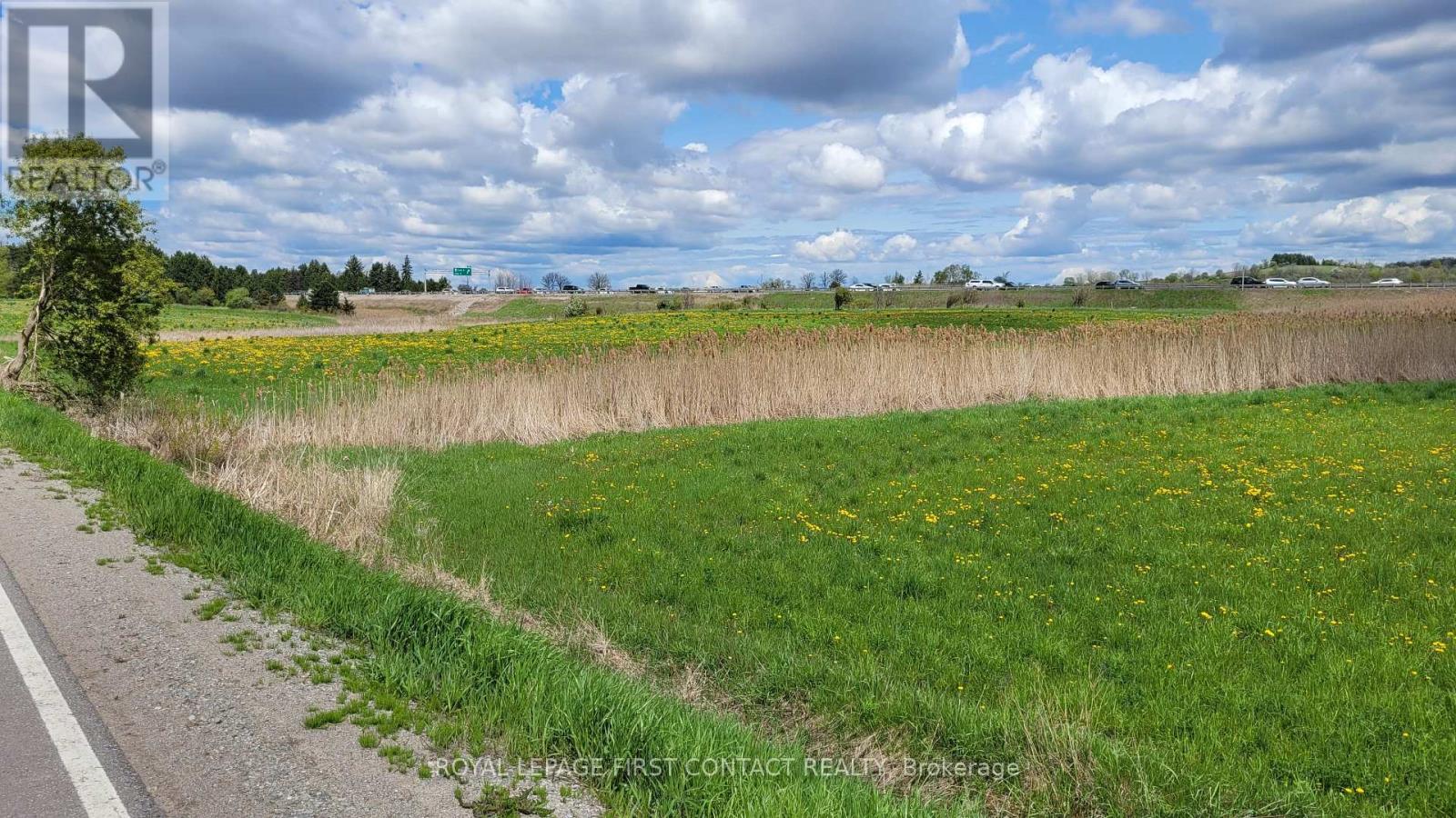 3568 4 Line, Bradford West Gwillimbury, Ontario  L3Z 2L7 - Photo 6 - N12641382