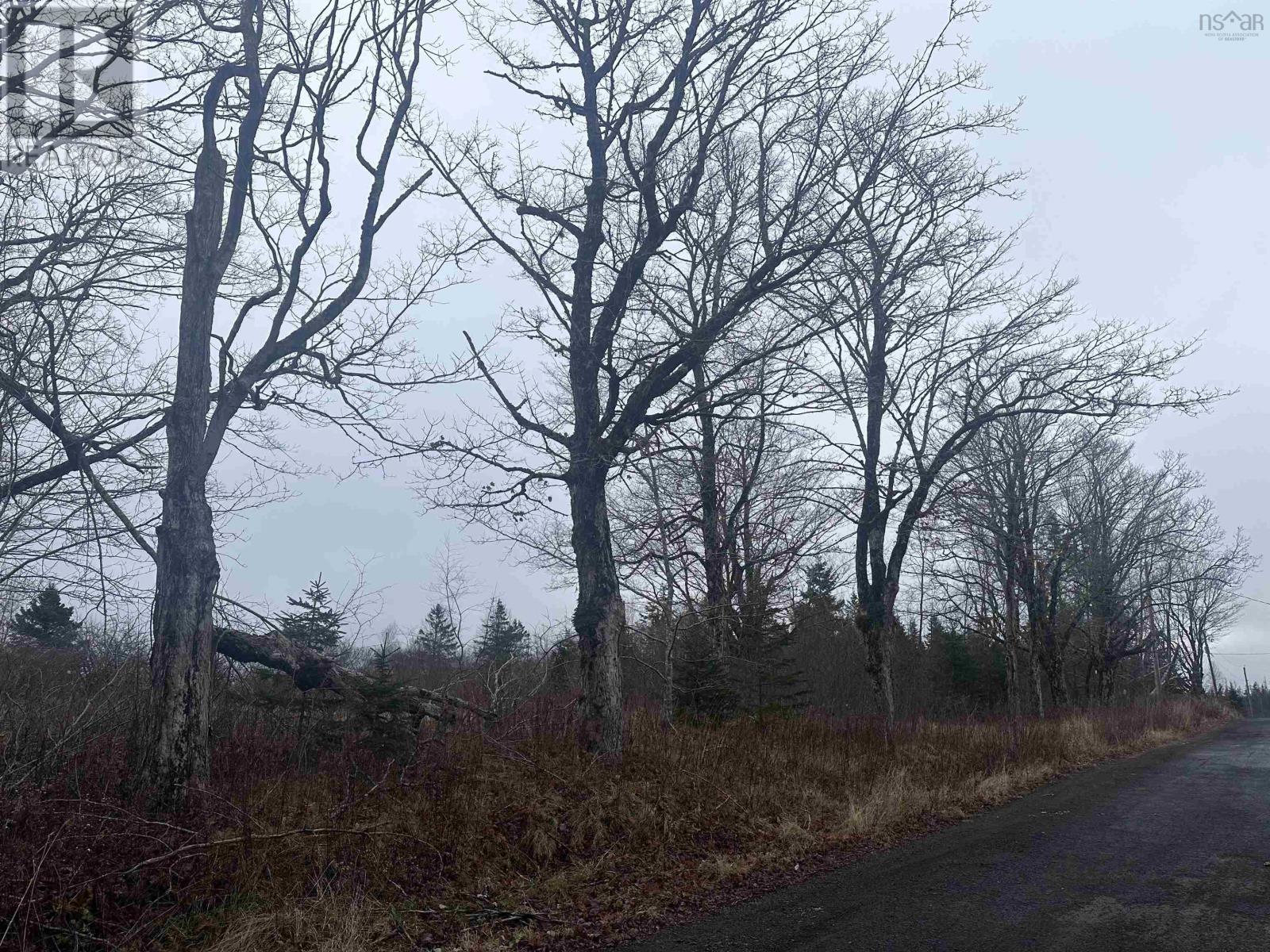 34 Spring Street, Londonderry, Nova Scotia  B0M 1L0 - Photo 5 - 202528894