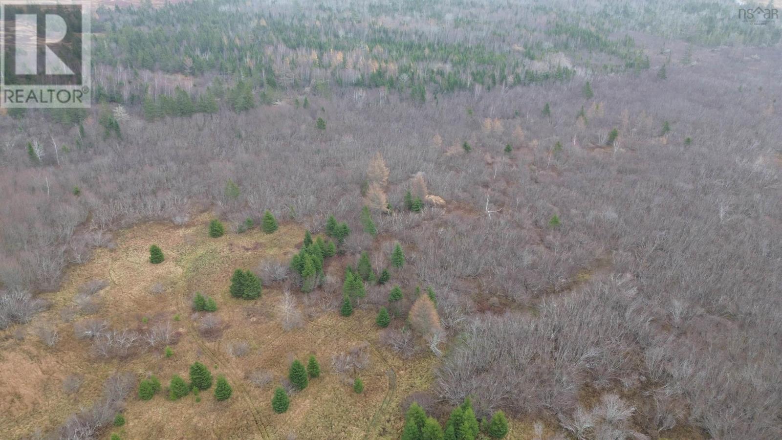 1776 Station Road, Londonderry, Nova Scotia  B0M 1L0 - Photo 2 - 202528893