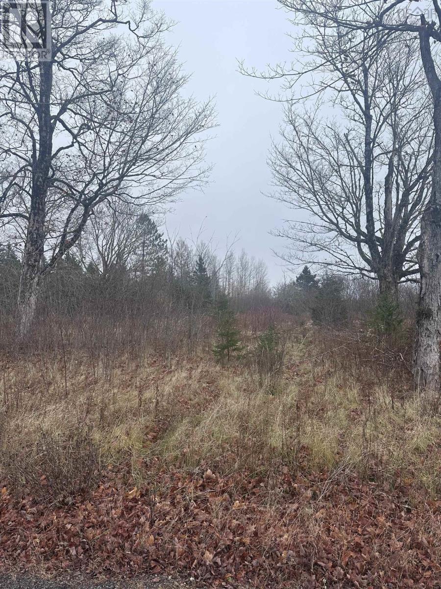 34 Spring Street, Londonderry, Nova Scotia  B0M 1L0 - Photo 6 - 202528894