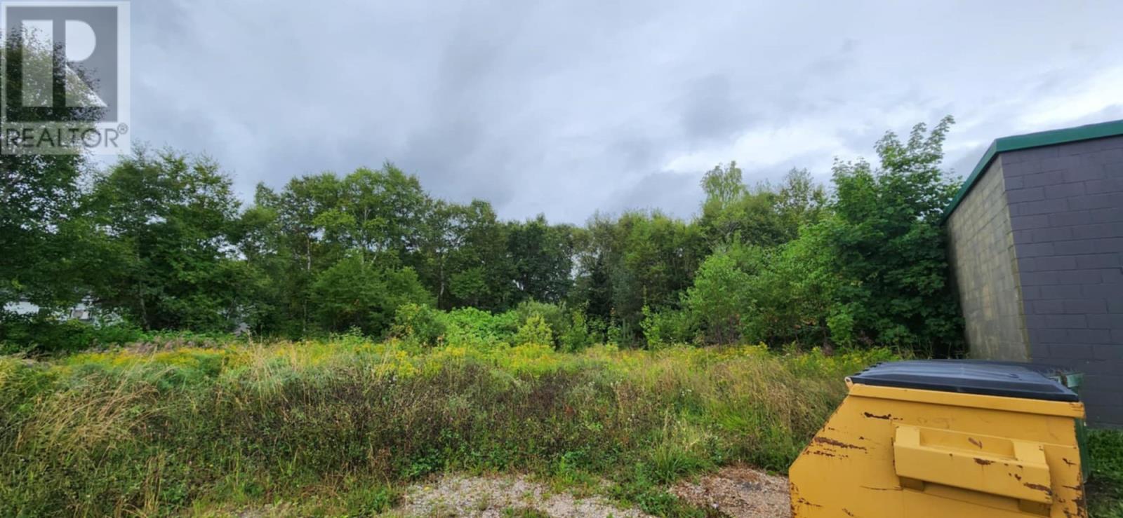 20 Tenth Avenue, Pasadena, Newfoundland & Labrador  A0L 1K0 - Photo 5 - 1293982