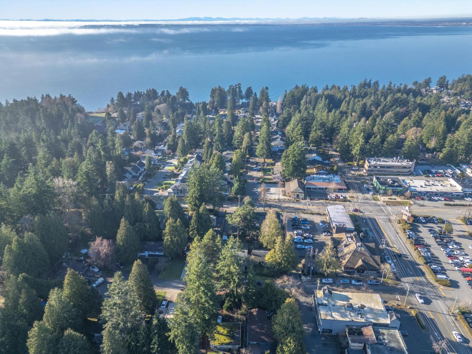 1557 128a Street, Surrey, British Columbia  V4A 3X6 - Photo 8 - R3080909