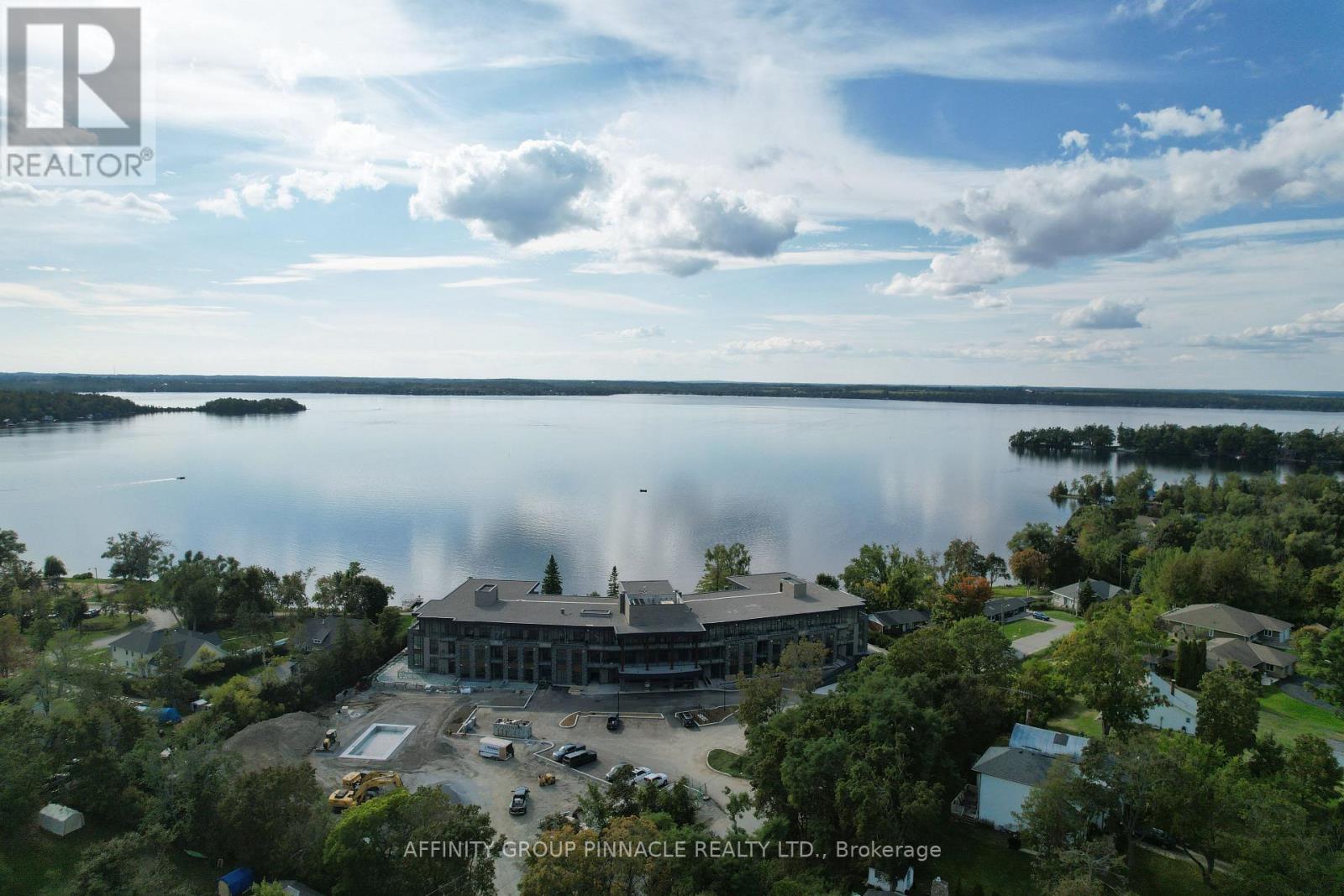 201 - 99 Louisa Street, Kawartha Lakes, Ontario  K0M 1N0 - Photo 3 - X12717778