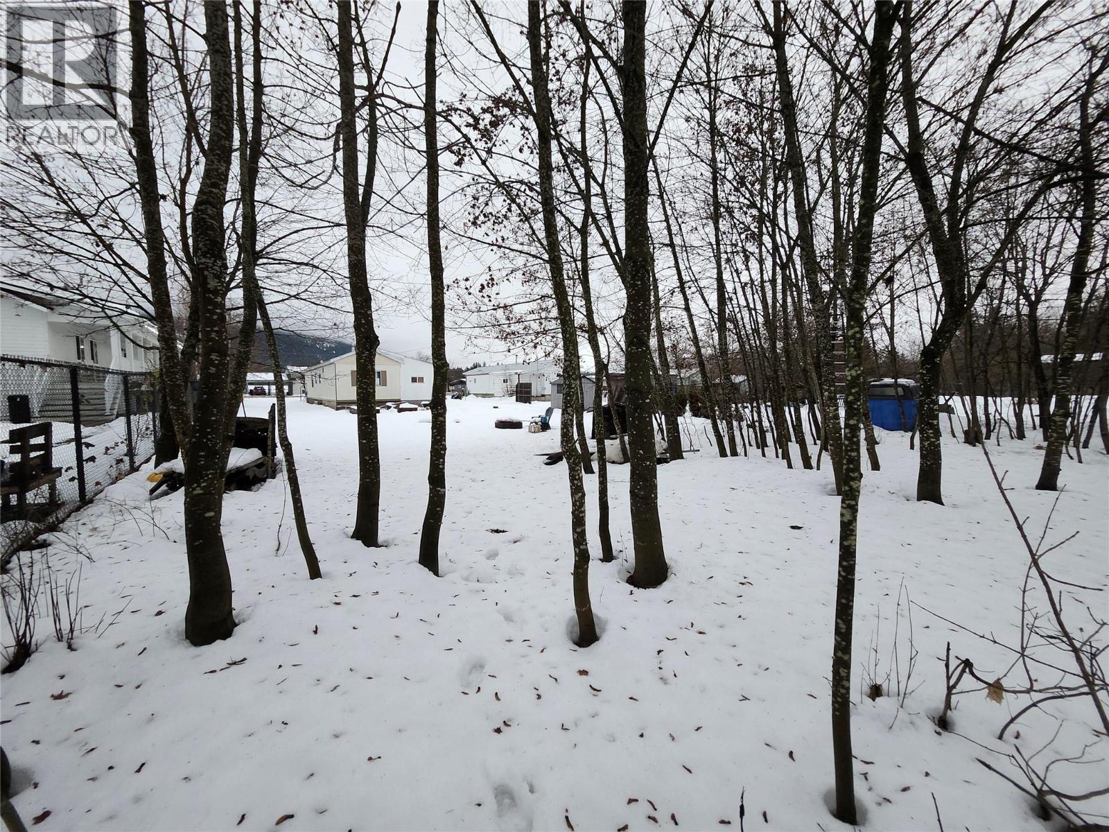 327 Edward Street, Revelstoke, British Columbia  V0E 2S0 - Photo 17 - 10372312