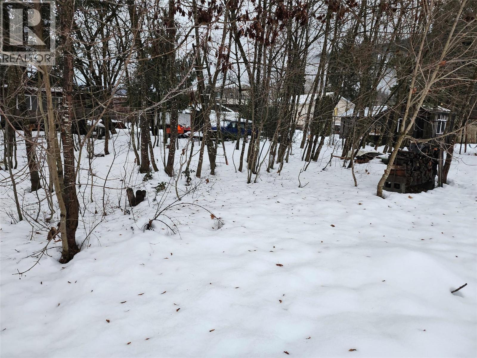 327 Edward Street, Revelstoke, British Columbia  V0E 2S0 - Photo 13 - 10372312