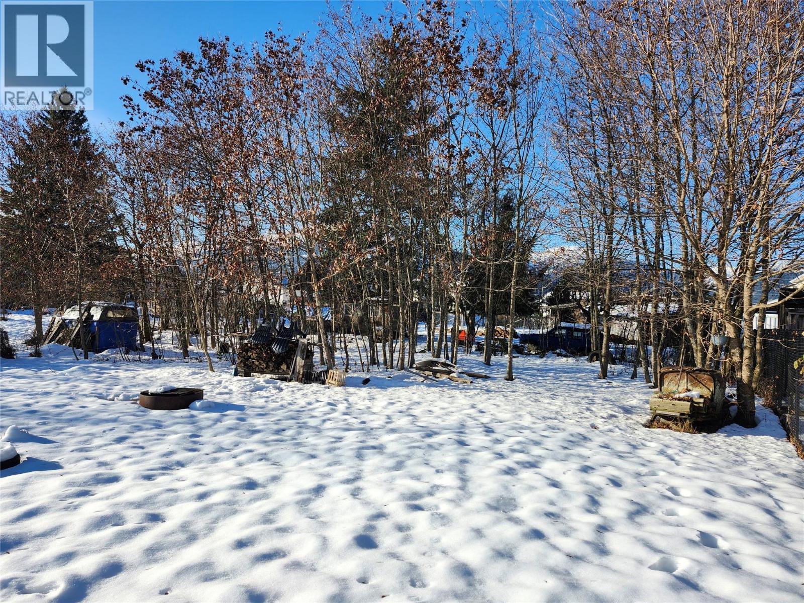 327 Edward Street, Revelstoke, British Columbia  V0E 2S0 - Photo 16 - 10372312