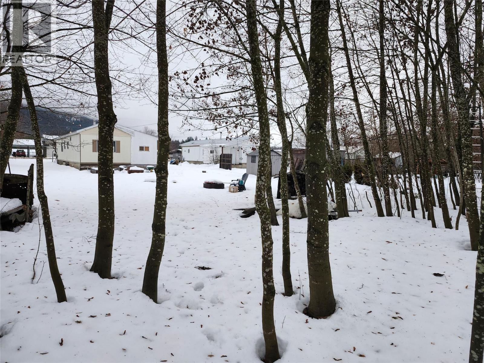 327 Edward Street, Revelstoke, British Columbia  V0E 2S0 - Photo 15 - 10372312