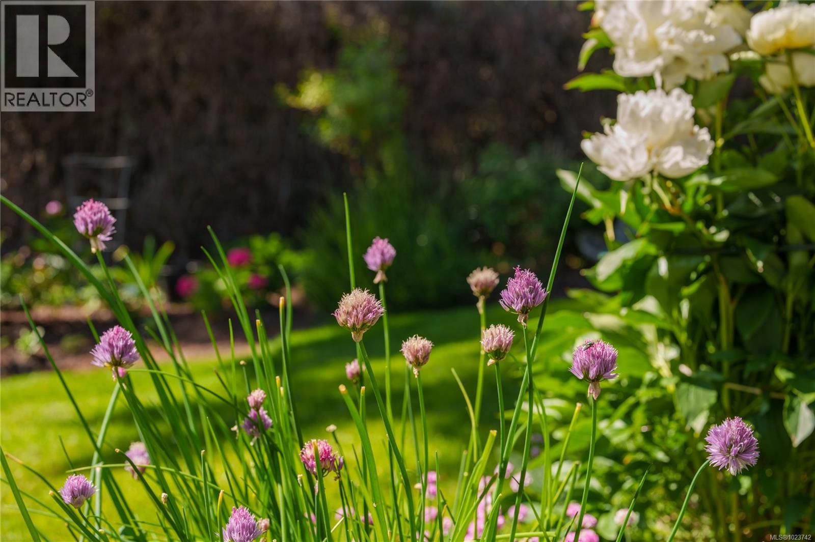 2780 Arbutus Rd, Saanich, British Columbia  V8N 5X4 - Photo 60 - 1023742