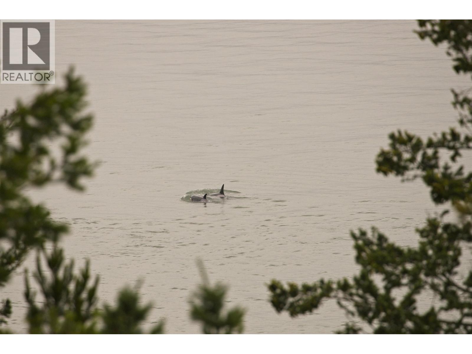 970 Mount Artaban Road, Gambier Island, British Columbia  V0N 1V0 - Photo 24 - R3081814