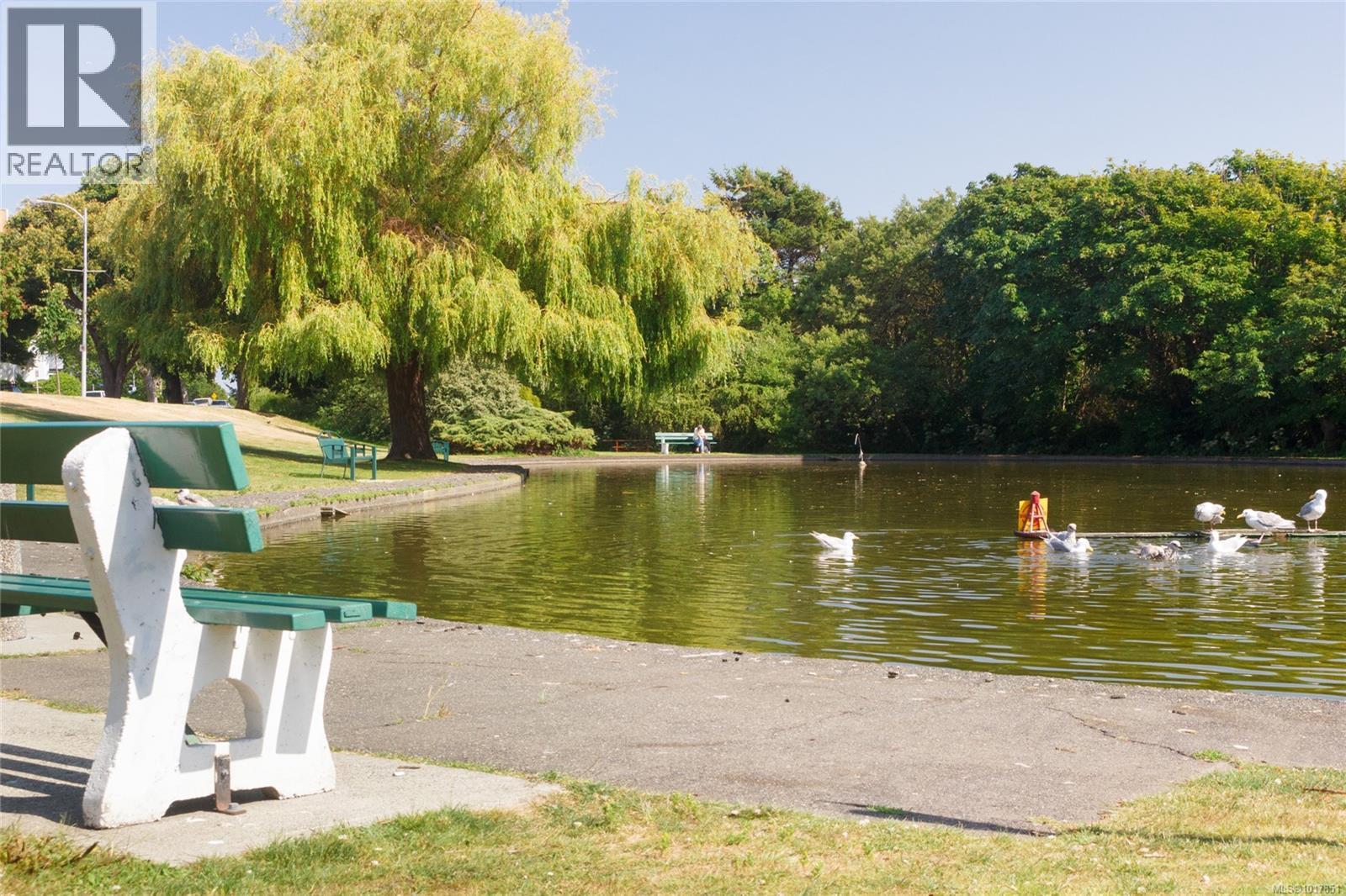 690 Dallas Rd, Victoria, British Columbia  V8V 1B7 - Photo 67 - 1017851