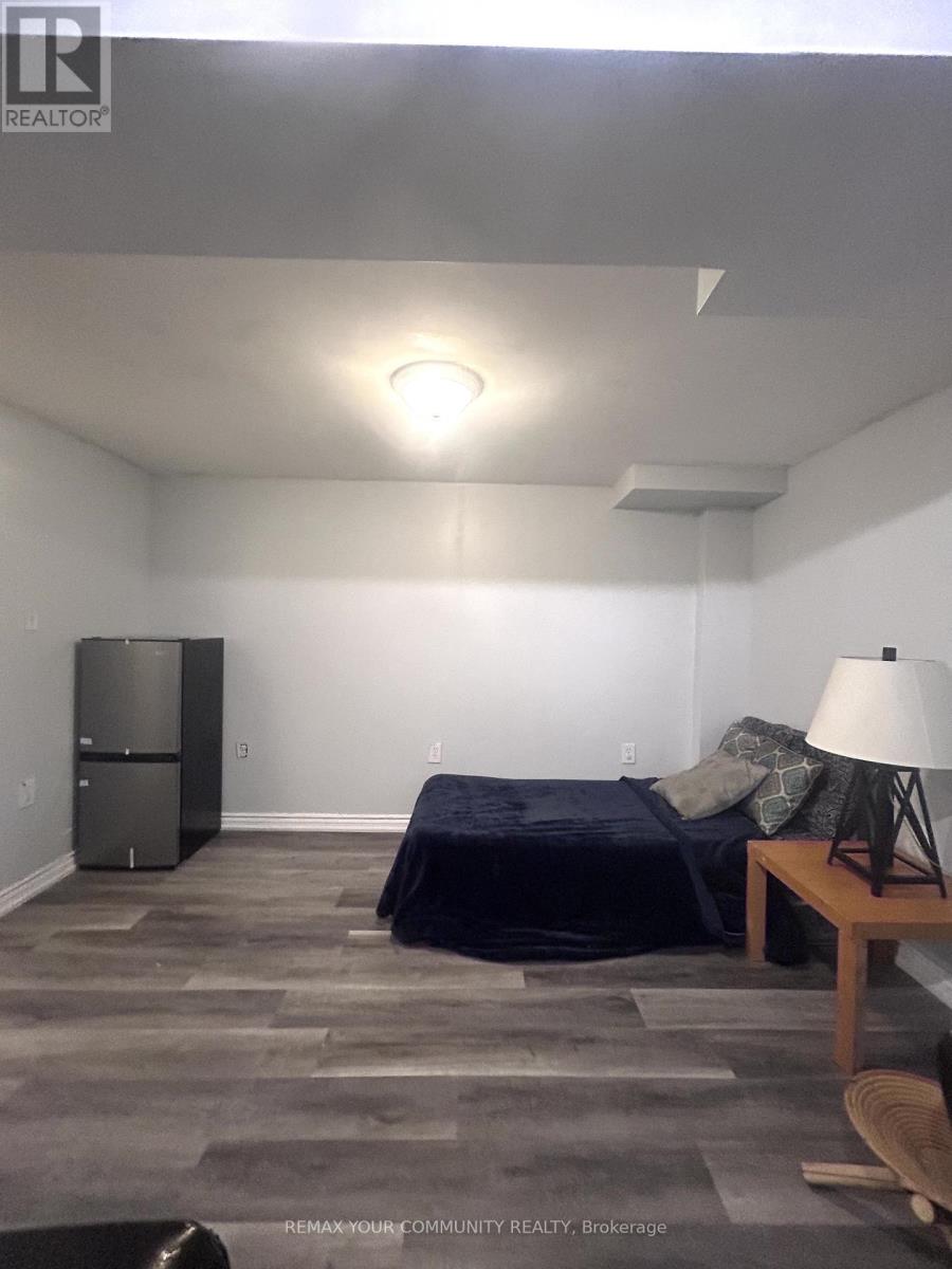 Basement - 3086 Pendleton Road, Mississauga, Ontario  L5N 7C6 - Photo 4 - W12717824