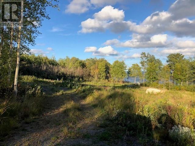 202 Comfort Cove Road, Comfort Cove-Newstead, Newfoundland & Labrador  A0G 3A0 - Photo 2 - 1293923