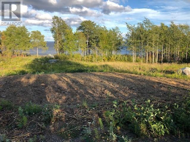 202 Comfort Cove Road, Comfort Cove-Newstead, Newfoundland & Labrador  A0G 3A0 - Photo 4 - 1293923