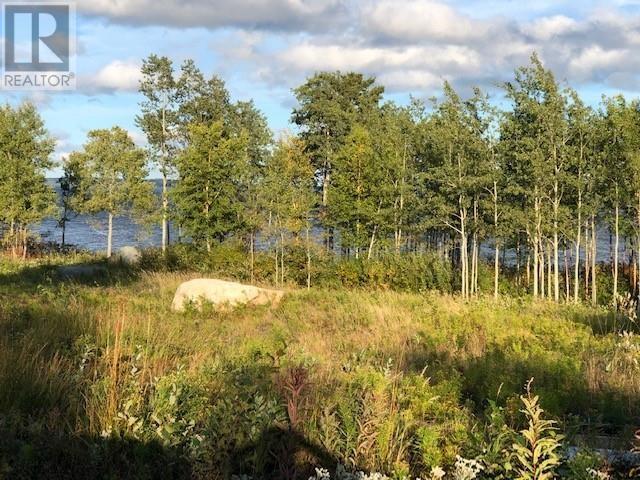 202 Comfort Cove Road, Comfort Cove-Newstead, Newfoundland & Labrador  A0G 3A0 - Photo 5 - 1293923