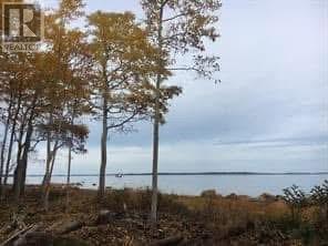 202 Comfort Cove Road, Comfort Cove-Newstead, Newfoundland & Labrador  A0G 3A0 - Photo 7 - 1293923