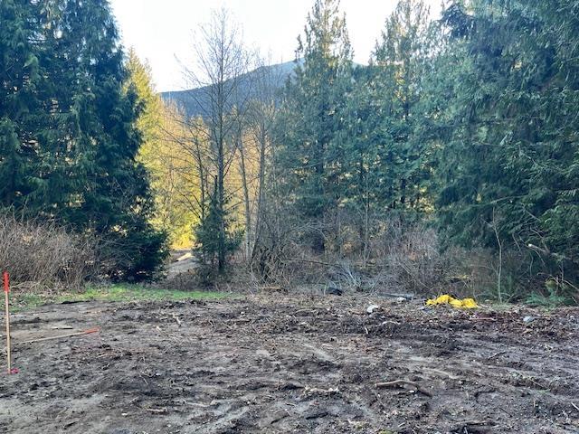 6999 Hinkley Road, Eastern Hillsides, Chilliwack, British Columbia  V4Z 1J4 - Photo 3 - R3081109