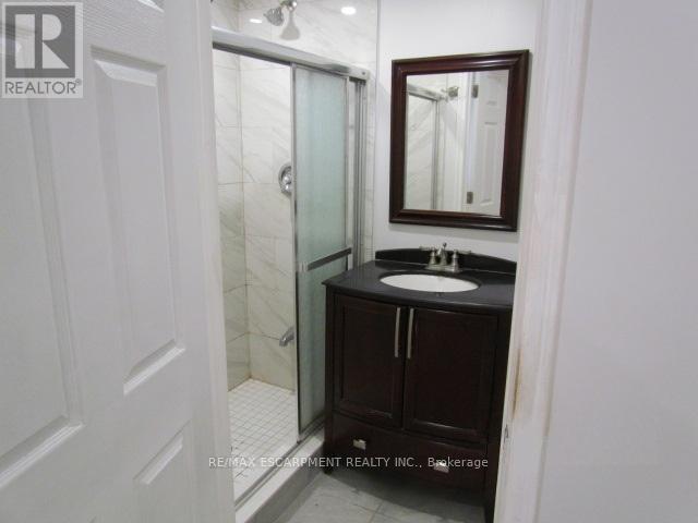 Basement - 5542 Twelve Mile Trail, Burlington, Ontario  L7L 7L3 - Photo 10 - W12717984