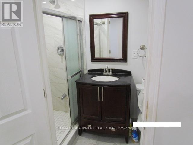 Basement - 5542 Twelve Mile Trail, Burlington, Ontario  L7L 7L3 - Photo 11 - W12717984