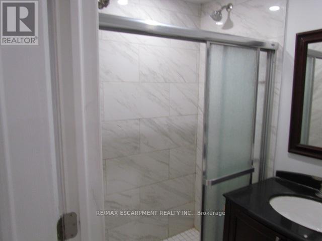 Basement - 5542 Twelve Mile Trail, Burlington, Ontario  L7L 7L3 - Photo 12 - W12717984