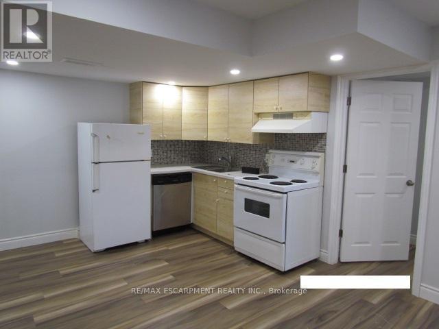 Basement - 5542 Twelve Mile Trail, Burlington, Ontario  L7L 7L3 - Photo 5 - W12717984