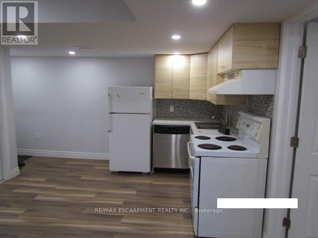 Basement - 5542 Twelve Mile Trail, Burlington, Ontario  L7L 7L3 - Photo 6 - W12717984