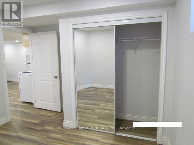 Basement - 5542 Twelve Mile Trail, Burlington, Ontario  L7L 7L3 - Photo 8 - W12717984