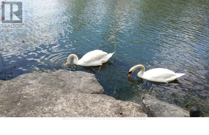 Room - 963 Hampton Crescent, Mississauga, Ontario  L5G 4G7 - Photo 34 - W12718026