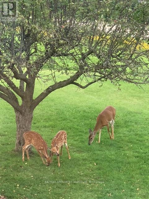 81 Trotters Lane, Rideau Lakes, Ontario  K0G 1X0 - Photo 26 - X12403044