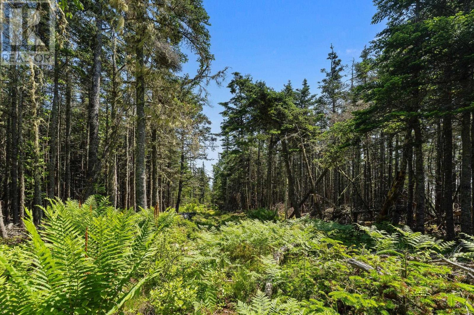 Lot Highway 207, Seaforth, Nova Scotia  B0J 2L0 - Photo 26 - 202601270