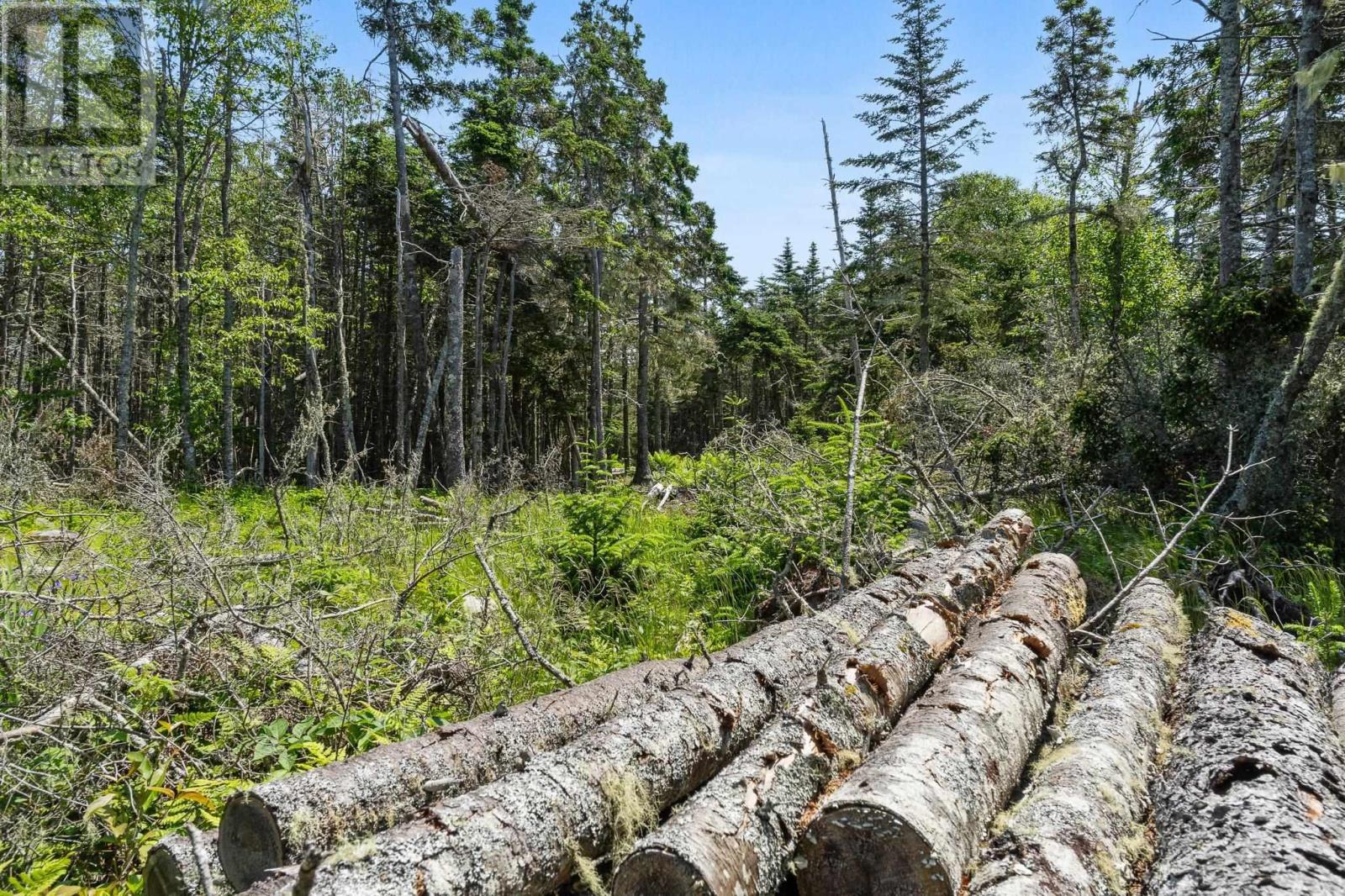 Lot Highway 207, Seaforth, Nova Scotia  B0J 2L0 - Photo 21 - 202601270