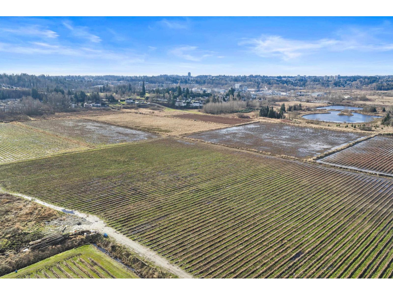 34350 Bateman Road, Abbotsford, British Columbia  V2S 7Y8 - Photo 14 - R3080640