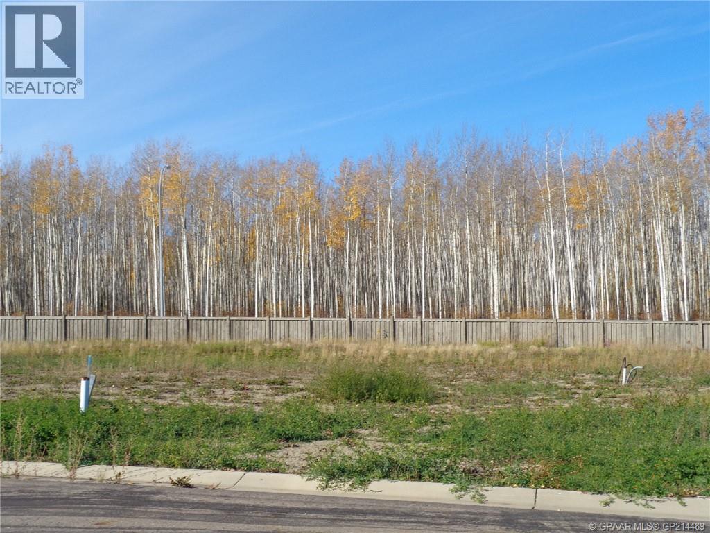 19 Bear Creek Drive, High Level, Alberta