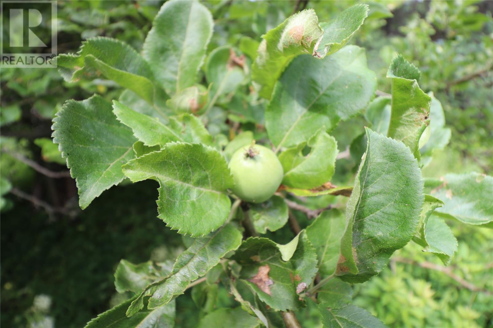 198a Conception Bay Highway, Holyrood, Newfoundland & Labrador  A0A 2R0 - Photo 3 - 1293979