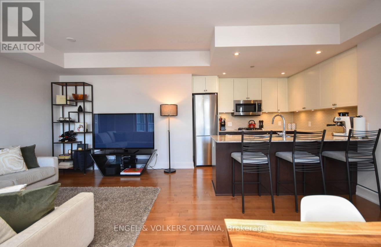 420 - 7 Marquette Avenue, Ottawa, Ontario  K1L 8A7 - Photo 9 - X12718140