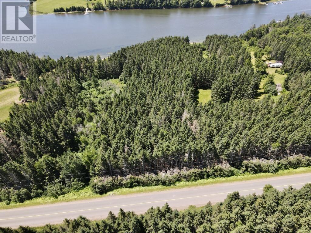 Trout River Road, Millvale, Prince Edward Island  C0A 1E0 - Photo 11 - 202601276