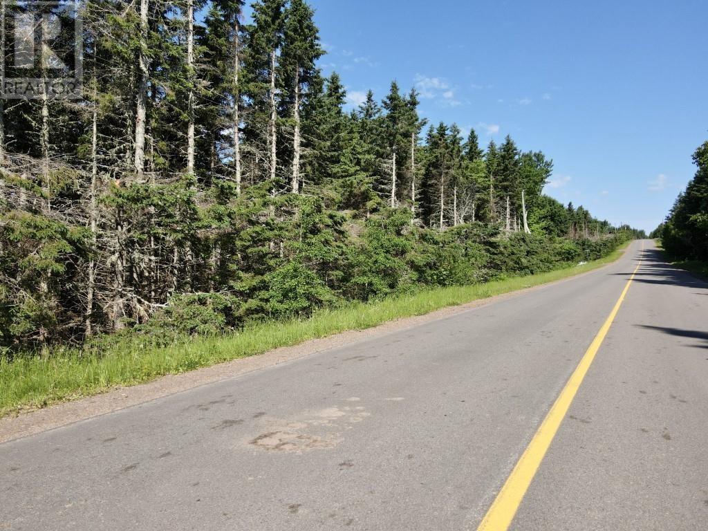 Trout River Road, Millvale, Prince Edward Island  C0A 1E0 - Photo 19 - 202601276