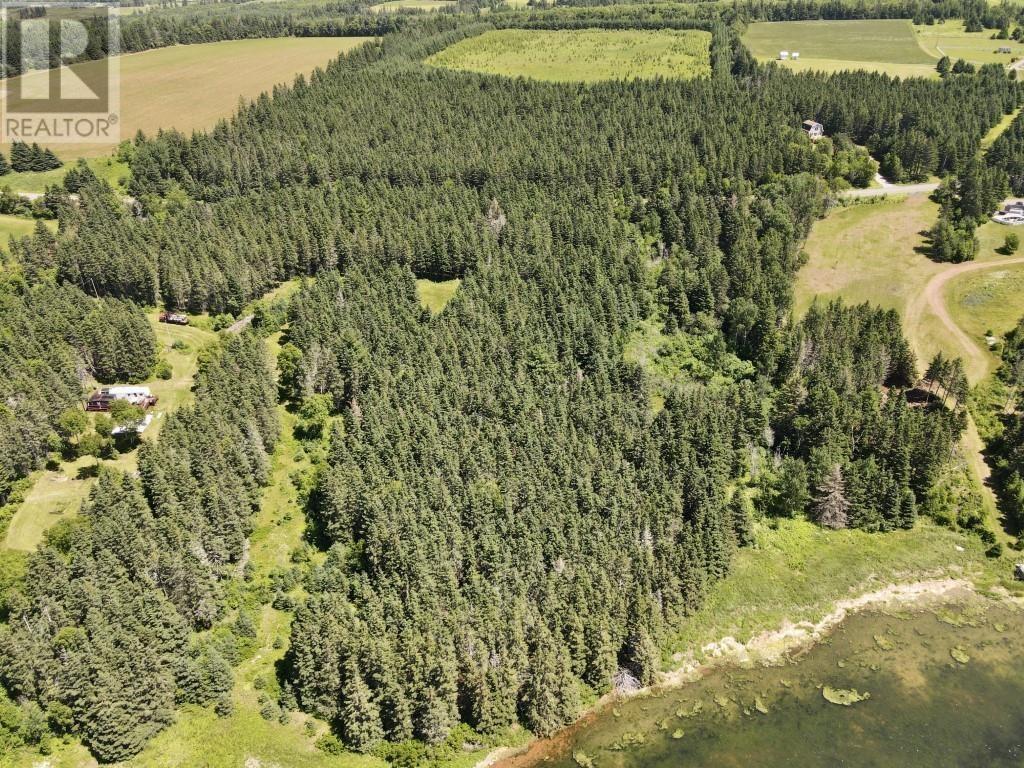 Trout River Road, Millvale, Prince Edward Island  C0A 1E0 - Photo 4 - 202601276