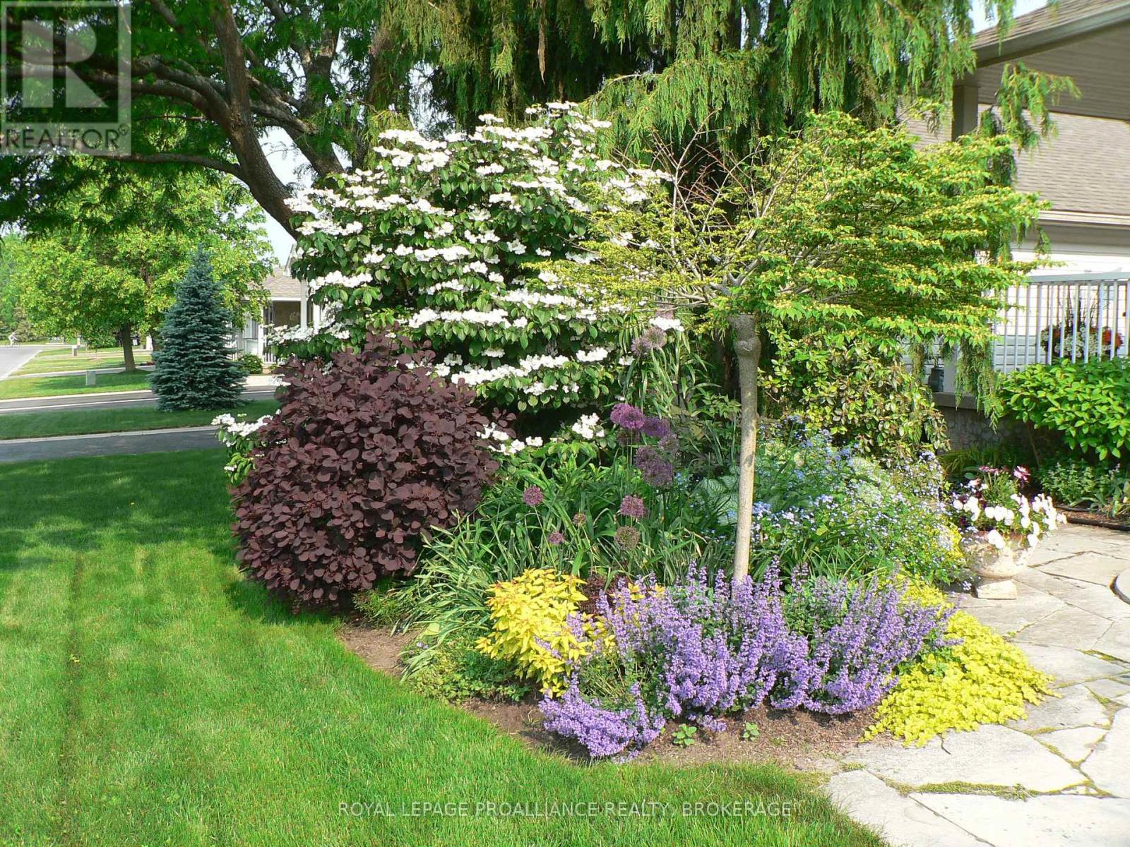 51 Ellesmeer Avenue, Kingston, Ontario  K7P 3H8 - Photo 5 - X12718188