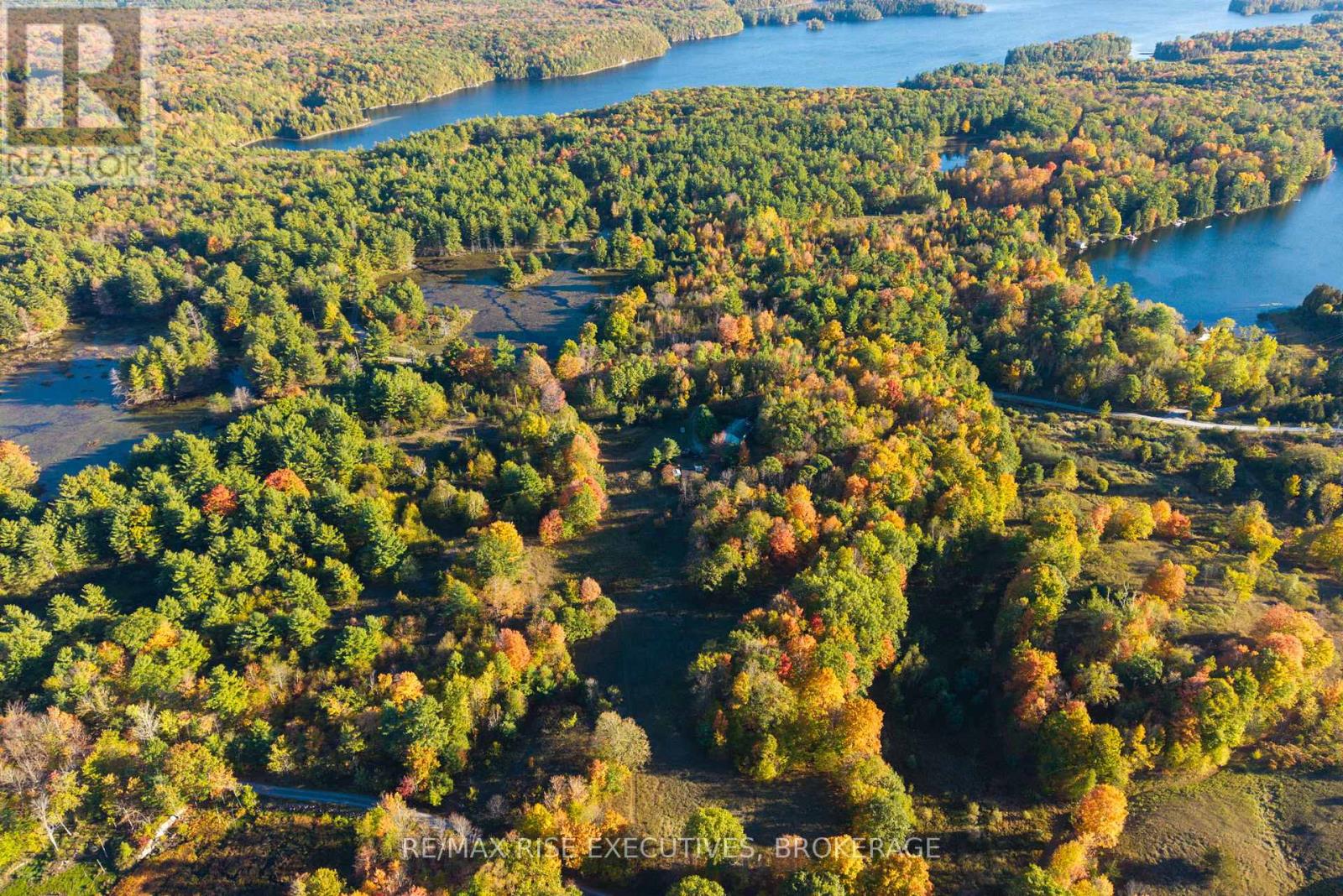 543 James Wilson Road, South Frontenac, Ontario  K0H 1W0 - Photo 38 - X12718344