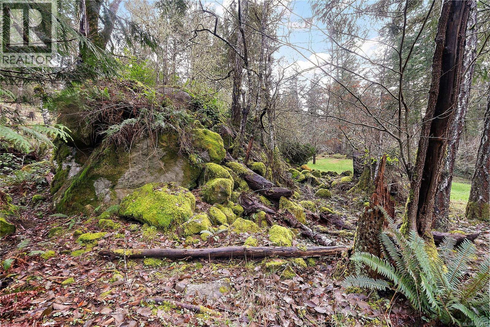 1302 Martock Rd, Sooke, British Columbia  V9Z 1B1 - Photo 65 - 1023817