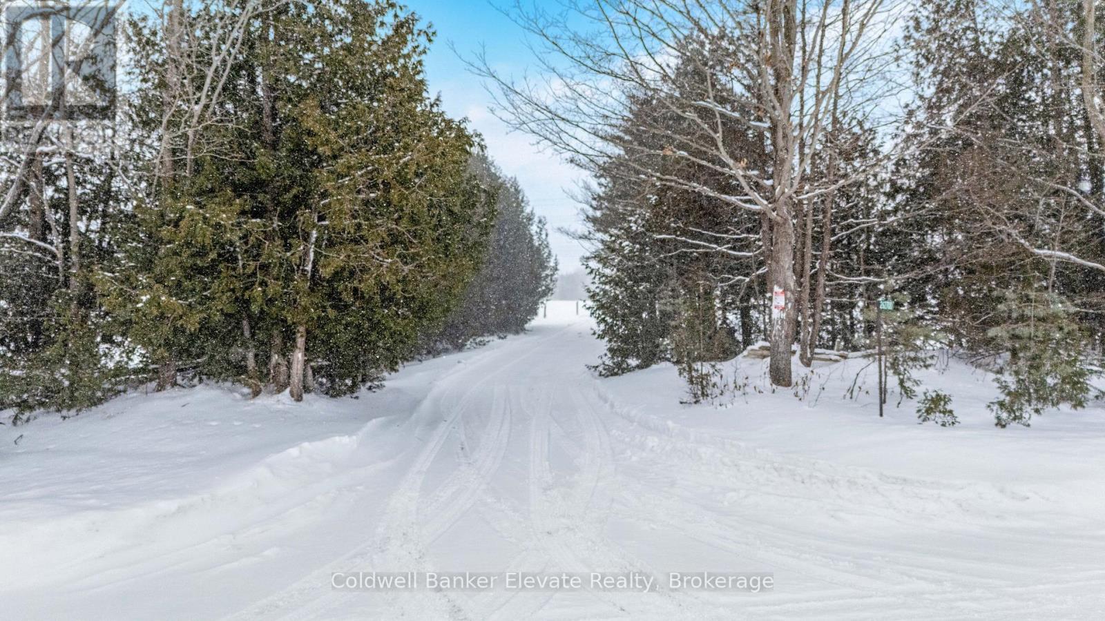 262700 Varney Road, West Grey, Ontario  N0G 1R0 - Photo 4 - X12718242