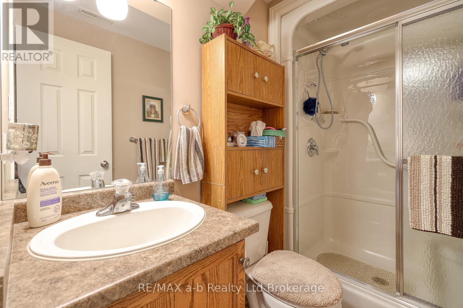 229 Cherry Street, Ingersoll, Ontario  N5C 3M2 - Photo 38 - X12718504