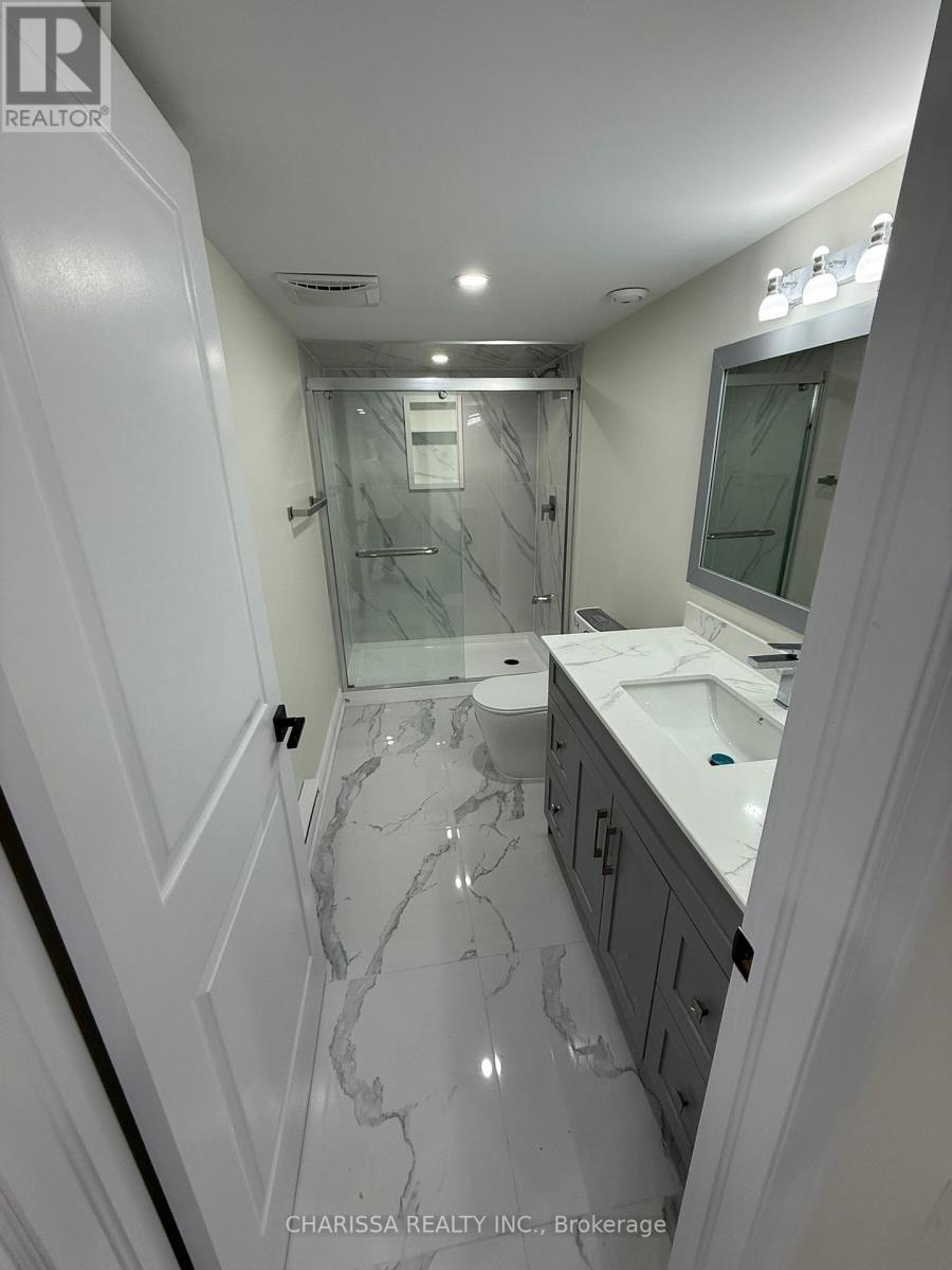 Basement - 831 Sobeski Avenue, Woodstock, Ontario  N4T 0P2 - Photo 11 - X12718428